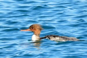 Checking Out the Criminal Underworld of Grand Theft Auto V Checking Out the Criminal Underworld of Grand Theft Auto V