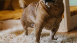 Getting Free V-Bucks for Fortnite Getting Free V-Bucks for Fortnite