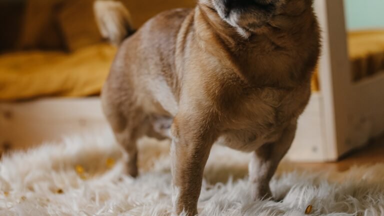 Getting Free V-Bucks for Fortnite Getting Free V-Bucks for Fortnite