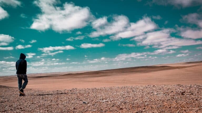 How to Survive the Zombie Apocalypse in State of Survival How to Survive the Zombie Apocalypse in State of Survival