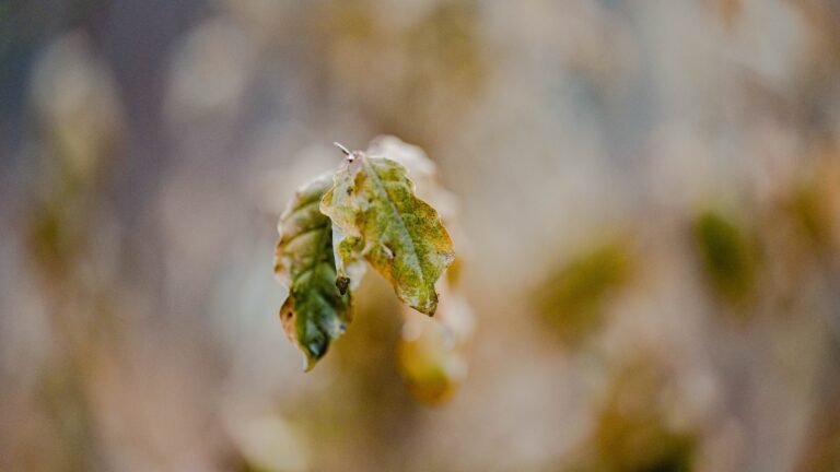 Checking Out the Open World of Grand Theft Auto V: An Overview of the Game’s Character, Story & Mechanics