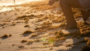 Inverting Your Y-Axis on Fortnite