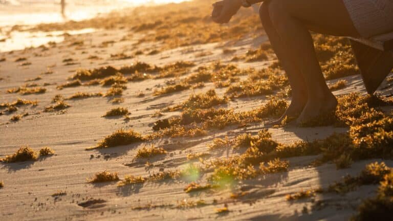 Inverting Your Y-Axis on Fortnite Inverting Your Y-Axis on Fortnite