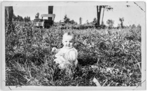 How to Get the very best Out of Your State of Survival Experience How to Get the very best Out of Your State of Survival Experience