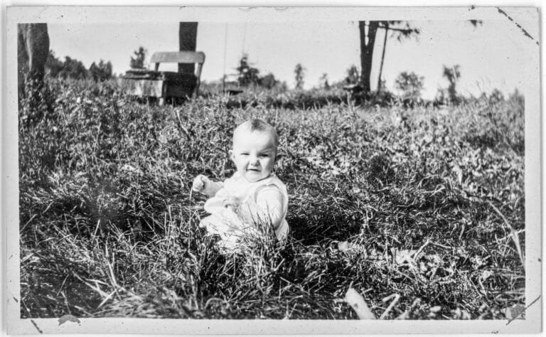 How to Get the very best Out of Your State of Survival Experience