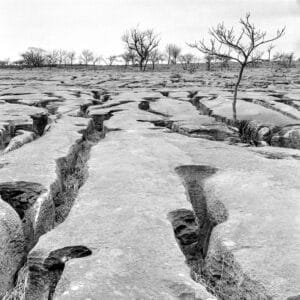 The Ultimate Guide to Winning Fall Guys!