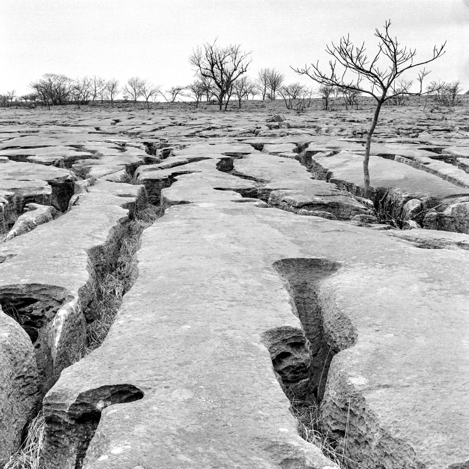 The Ultimate Guide to Winning Fall Guys! The Ultimate Guide to Winning Fall Guys!