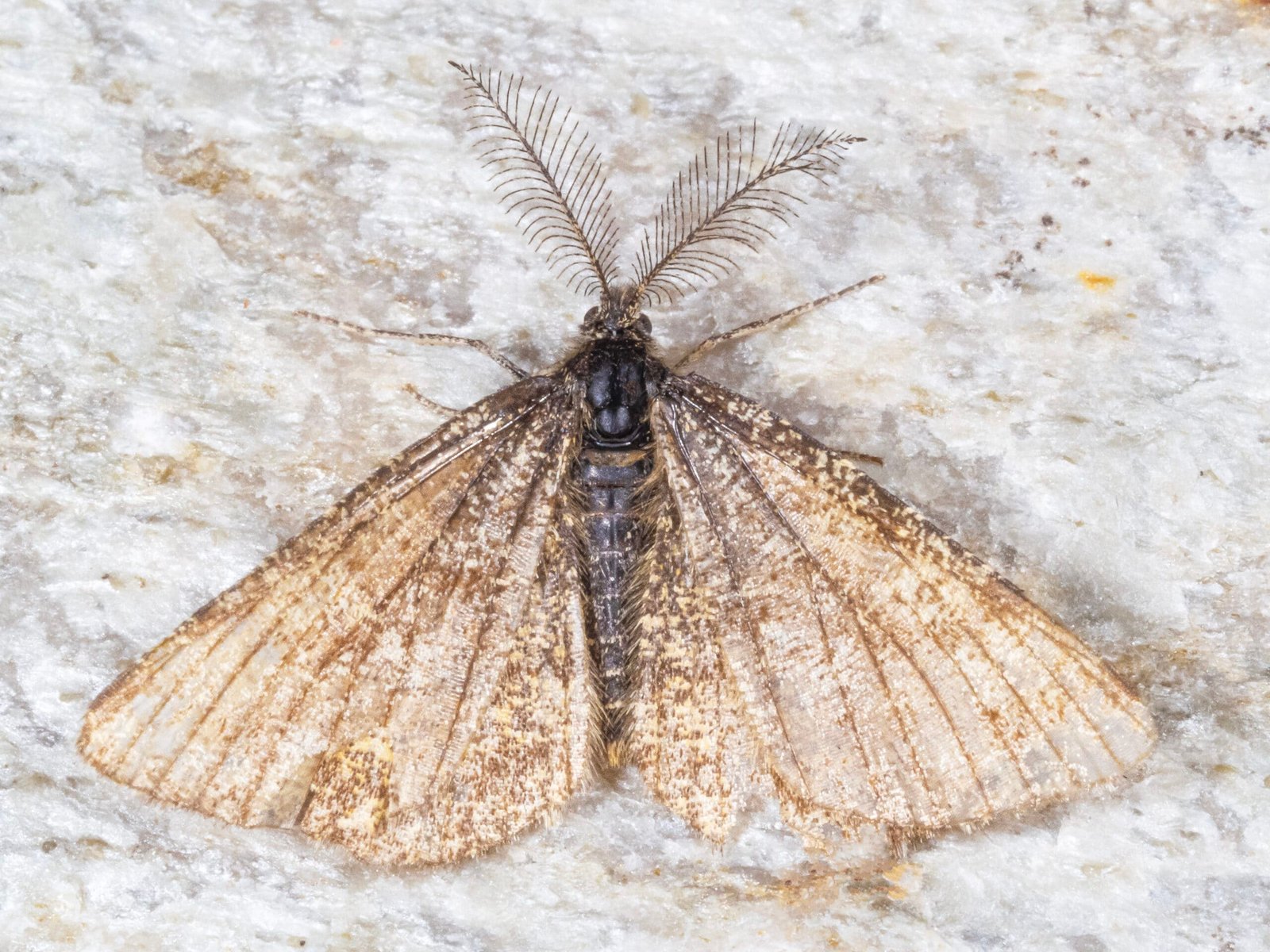 Utilizing a Controller in GTA V PC: Tips & Tricks Utilizing a Controller in GTA V PC: Tips & Tricks