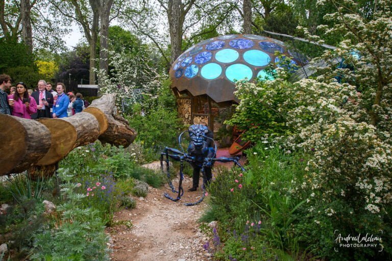 Taming Bunnies in Minecraft