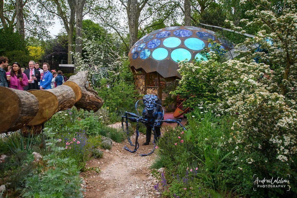 Taming Bunnies in Minecraft