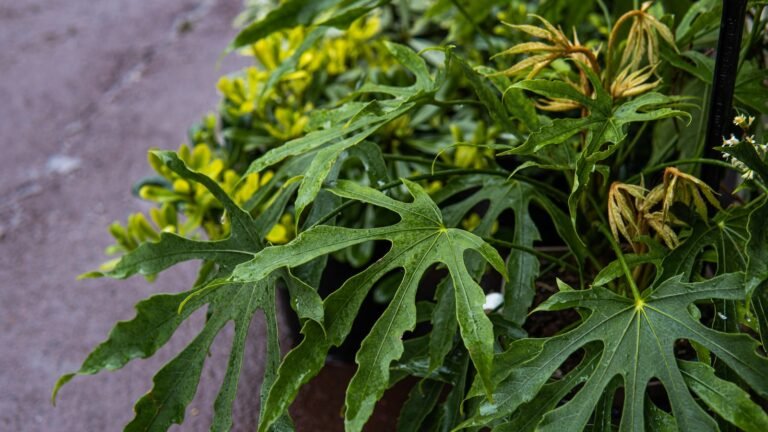 Whispering in Minecraft: A Step-by-Step Guide Whispering in Minecraft: A Step-by-Step Guide