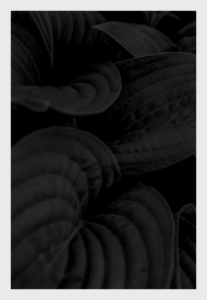 Minecraft Suicide: The Hows and Whys