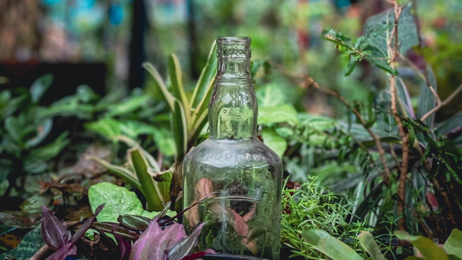 A Comprehensive Guide to Winning in Fortnite!