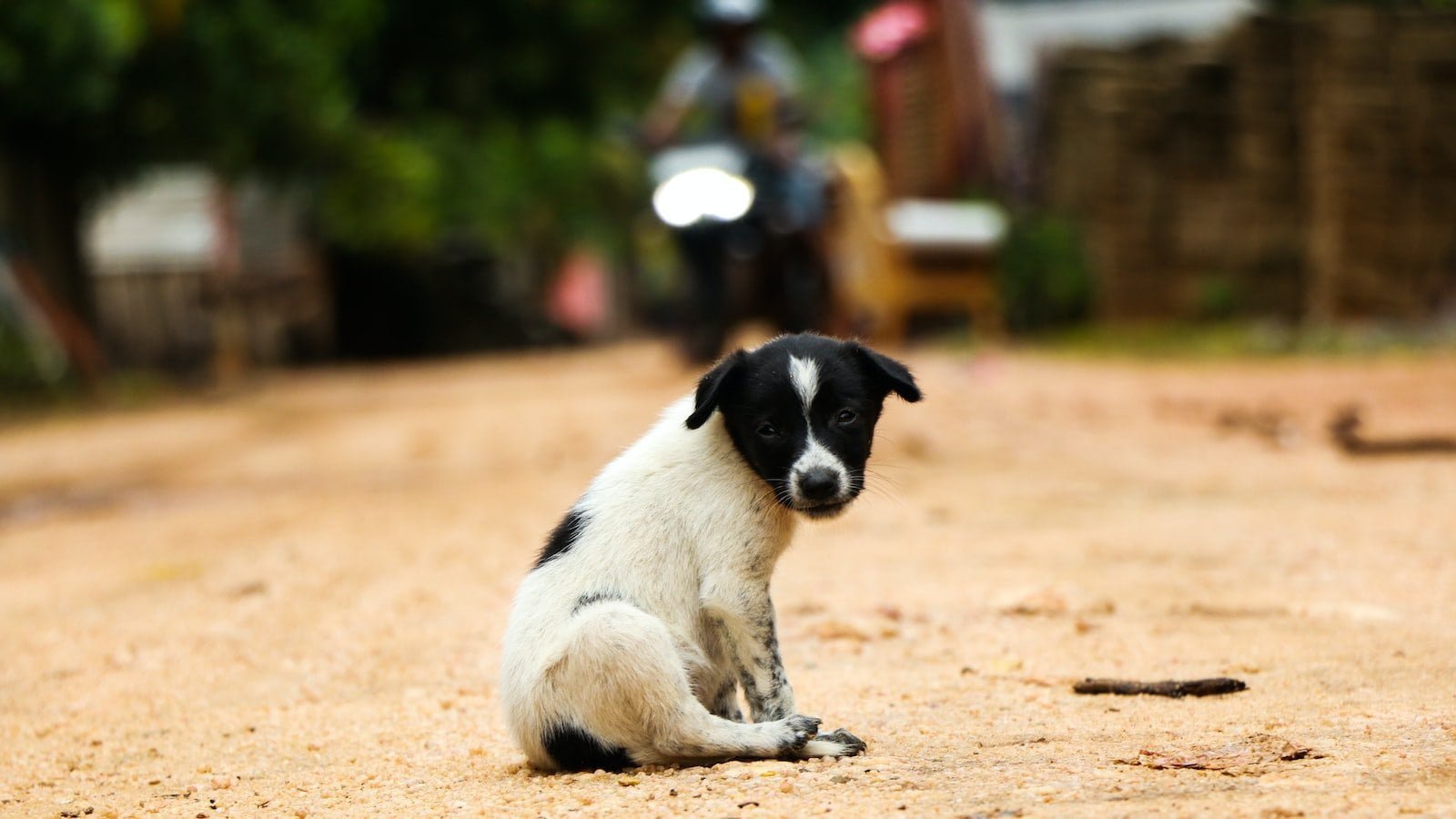 5 Tips for Racing to Victory in Roblox!