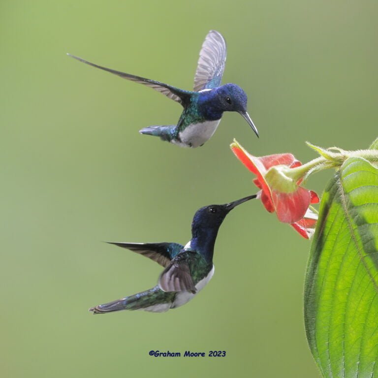 Checking Out New Strategies for Winning in Fortnite