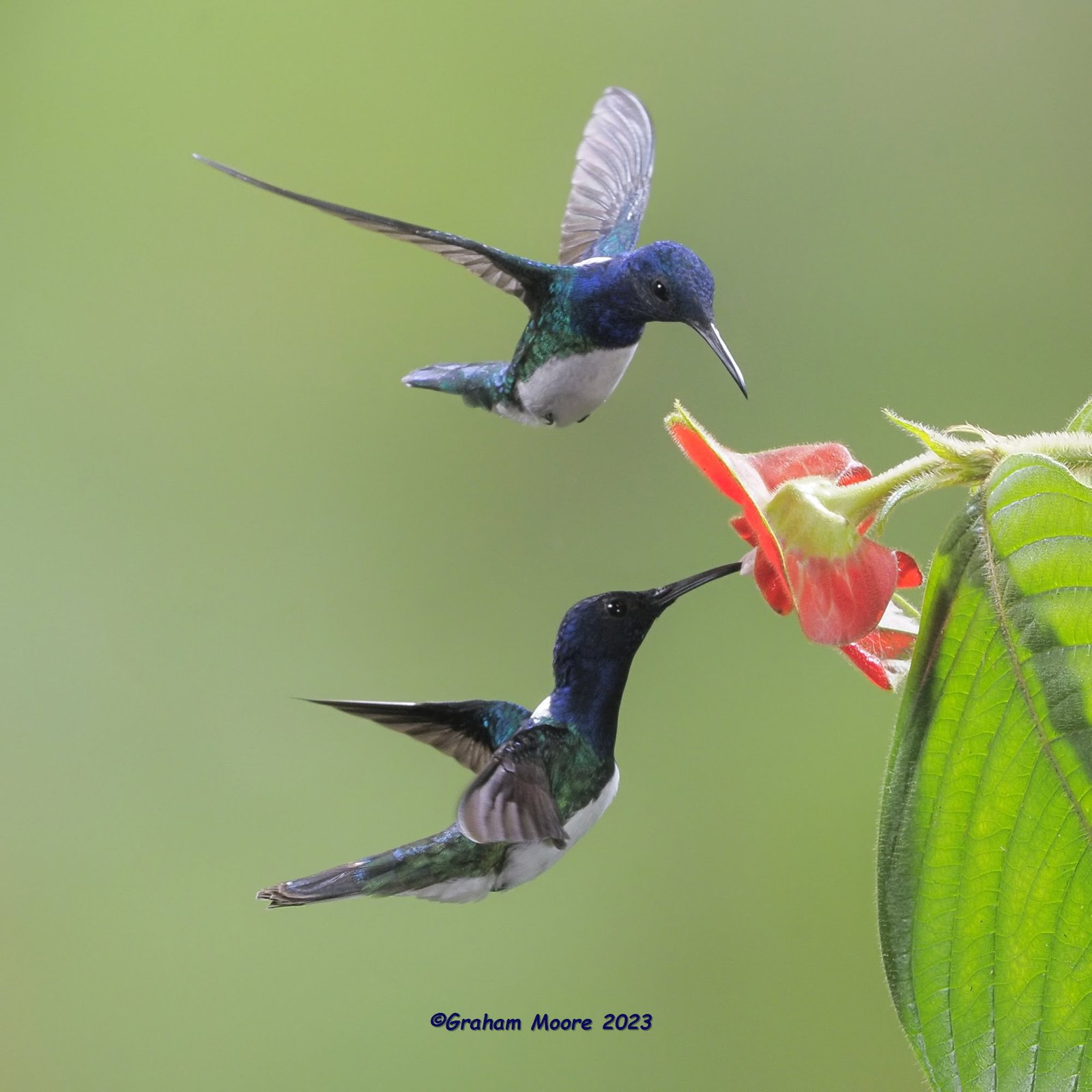 Checking Out New Strategies for Winning in Fortnite Checking Out New Strategies for Winning in Fortnite