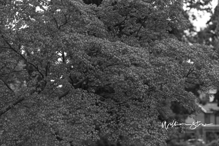 Idea for Surviving in State of Survival: Get one of the most Out of Your Gameplay!