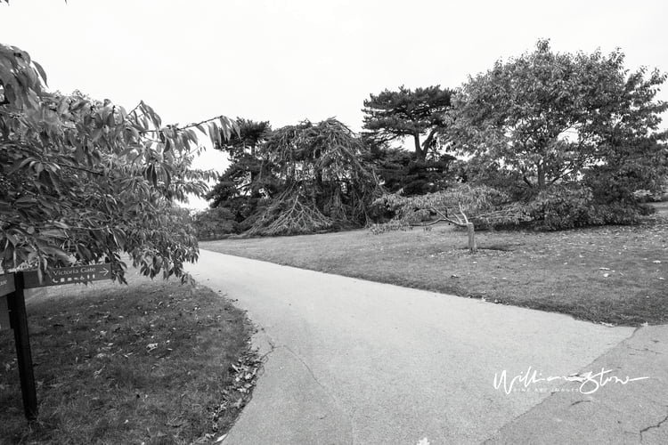 How to Become the Ultimate GTA V Gangster How to Become the Ultimate GTA V Gangster