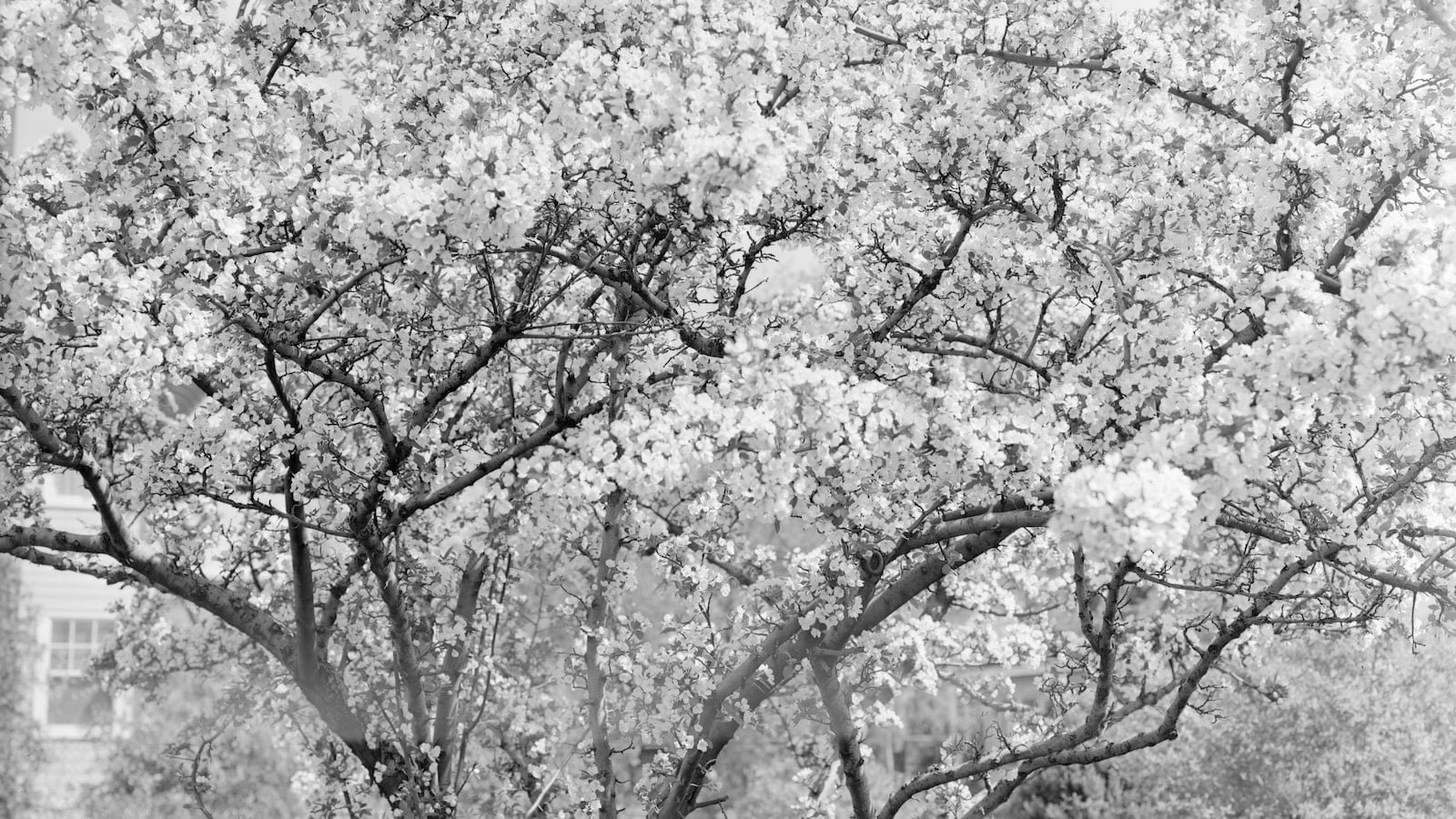 The Hilarious and Addicting Gameplay of Fall Guys: Ultimate Knockout