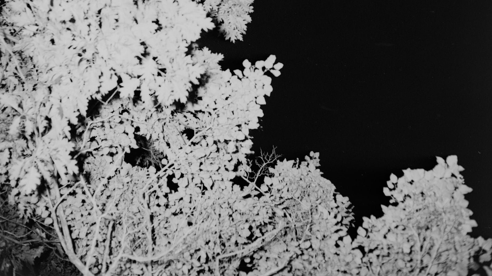 How to Master the Art of Fortnite Strategy How to Master the Art of Fortnite Strategy