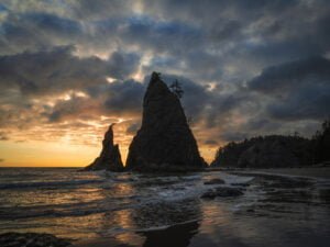 Advice to Survive and Thrive in State of Survival Advice to Survive and Thrive in State of Survival