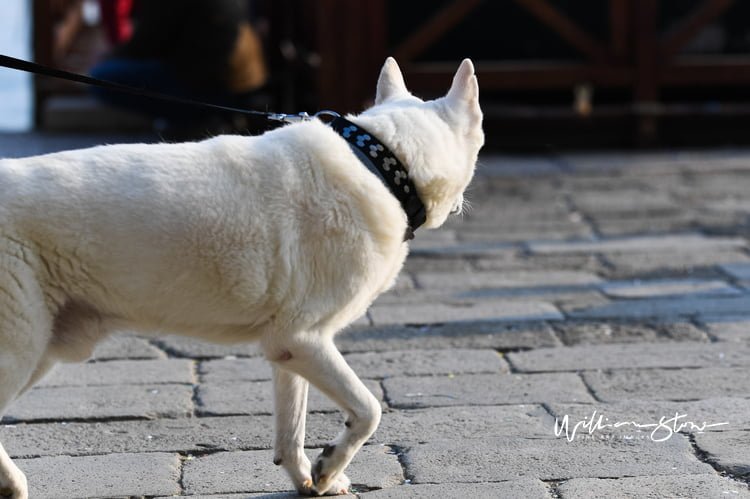 Checking Out Los Santos: A Tour of Grand Theft Auto V's Vibrant Cityscape Checking Out Los Santos: A Tour of Grand Theft Auto V’s Vibrant Cityscape