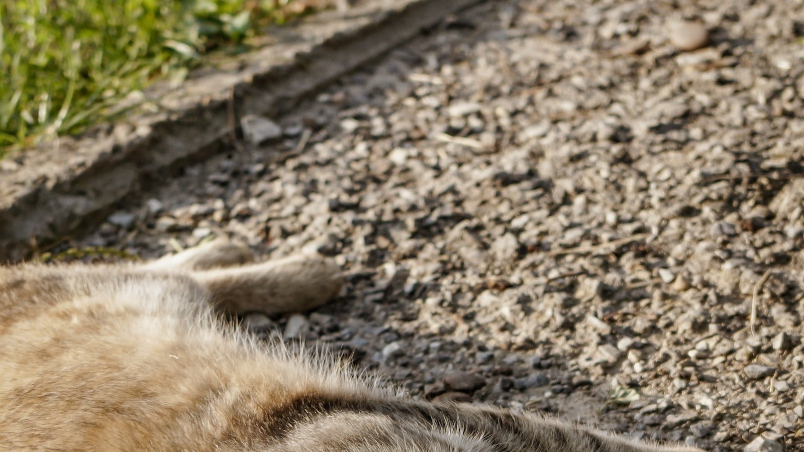 A Comprehensive Guide to Building Creative Worlds in Roblox A Comprehensive Guide to Building Creative Worlds in Roblox