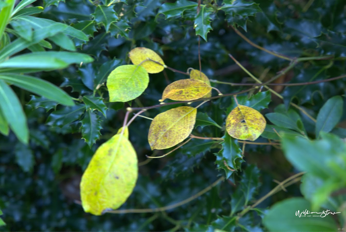 5 Tips to Help Boost Your Fall Guys Score! 5 Tips to Help Boost Your Fall Guys Score!