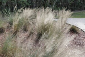 State of Survival: 5 Tips for Becoming a Master Survivor State of Survival: 5 Tips for Becoming a Master Survivor