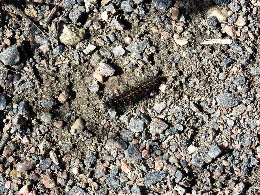 Checking Out Admiral GTA Vice City Checking Out Admiral GTA Vice City