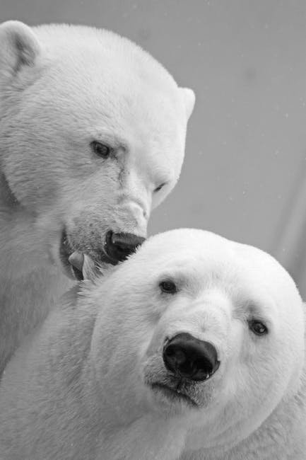 What Polar Bears Eat in Minecraft What Polar Bears Eat in Minecraft