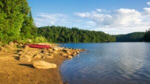 How to Survive the Early Stages of State of Survival: Tips and Strategies for New Players How to Survive the Early Stages of State of Survival