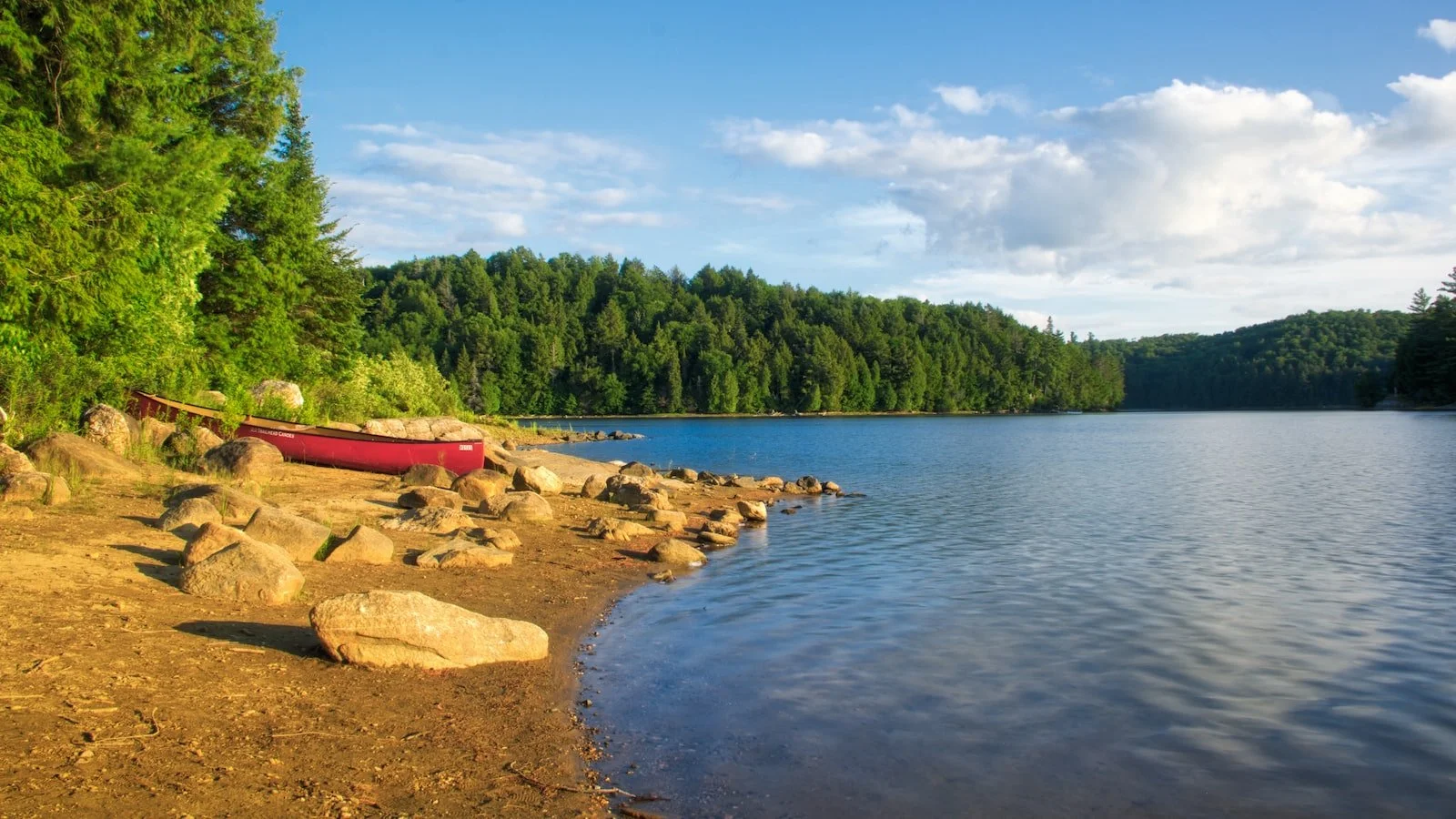 How to Survive the Early Stages of State of Survival