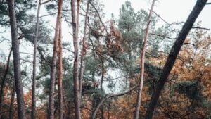 Tips for Dominating at Fall Guys: The Ultimate Battle Royale! Tips for Dominating at Fall Guys: The Ultimate Battle Royale!