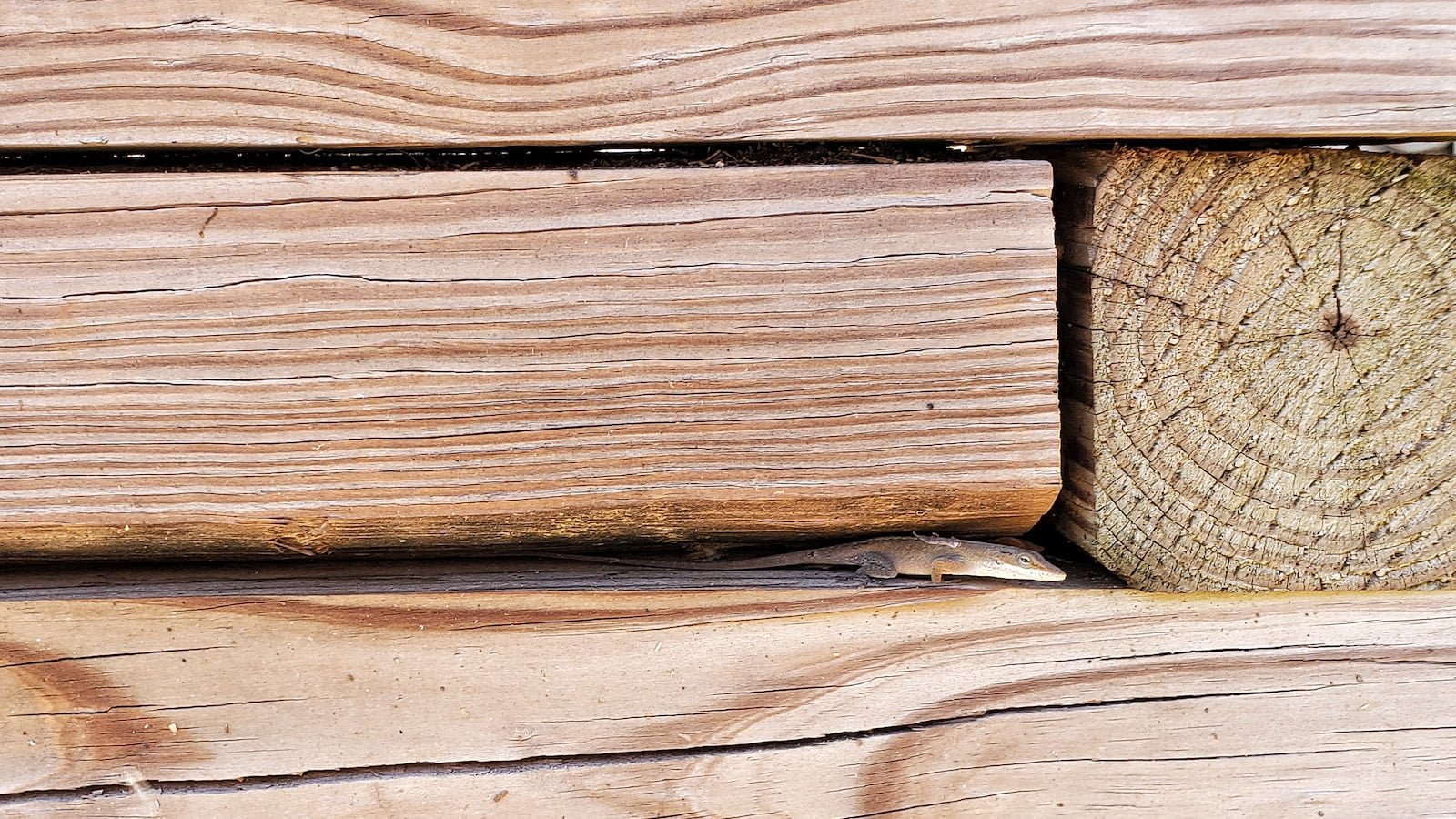 Importing Blender Models into Roblox